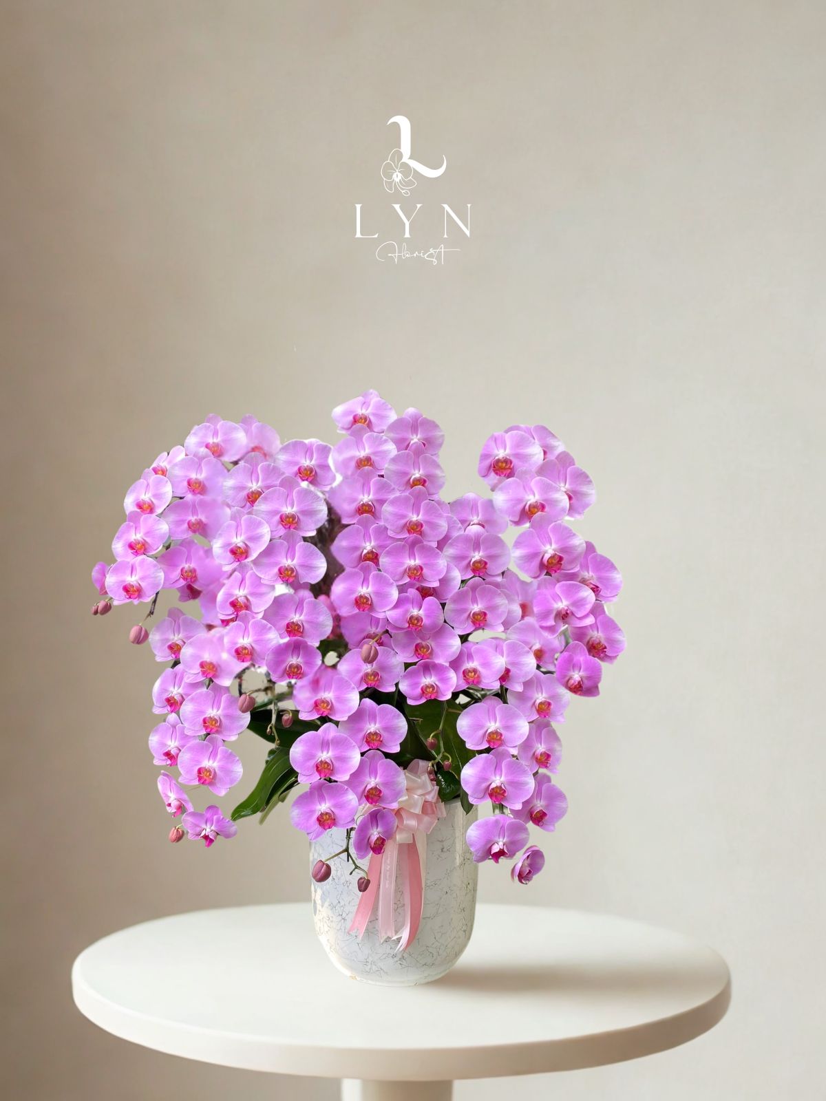 Chậu Hoa Lan Hồng 243